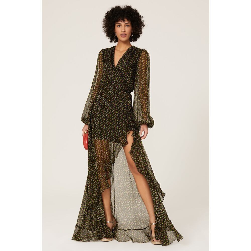 Caroline Constas Vivian Winter Rose Dress Chiffon Maxi Dress Black M
